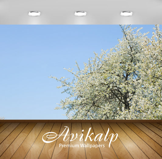 Avikalp Exclusive AWI1000 Nature HD Wallpapers for Living room, Hall, Kids Room, Kitchen, TV Backgro