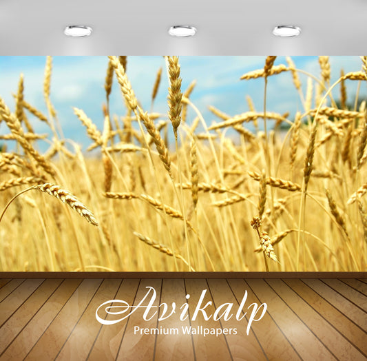 Avikalp Exclusive AWI1031 Nature HD Wallpapers for Living room, Hall, Kids Room, Kitchen, TV Backgro