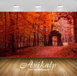 Avikalp Exclusive Beautiful Autumn AWI1081 HD Wallpapers for Living room, Hall, Kids Room, Kitchen, Avikalp Exclusive Beautiful Autumn AWI1081 HD Wallpapers for Living room, Hall, Kids Room, Kitchen,