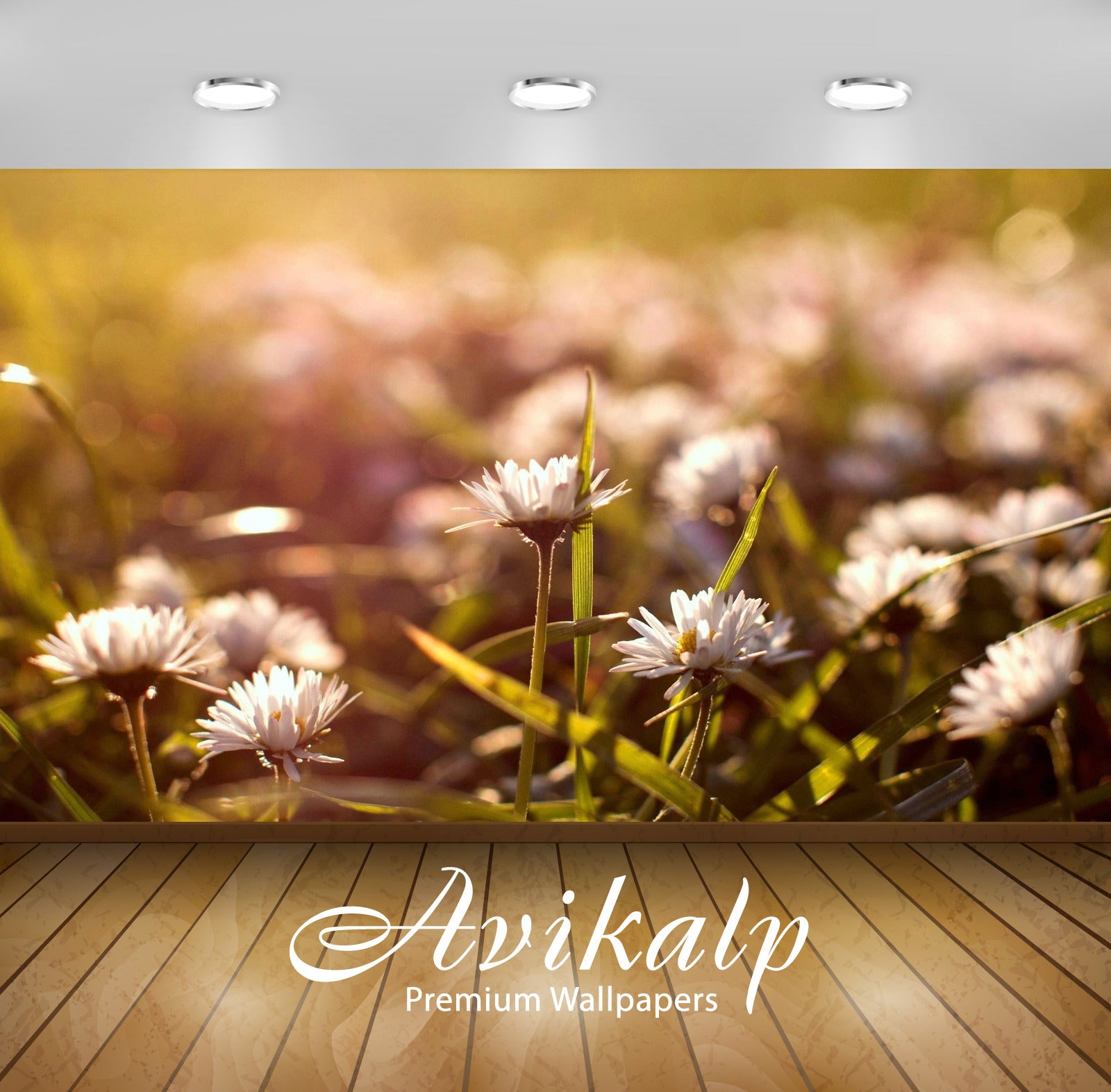 Avikalp Exclusive Beautiful White Flowers AWI1091 HD Wallpapers for Living room, Hall, Kids Room, Ki Avikalp Exclusive Beautiful White Flowers AWI1091 HD Wallpapers for Living room, Hall, Kids Room, Ki