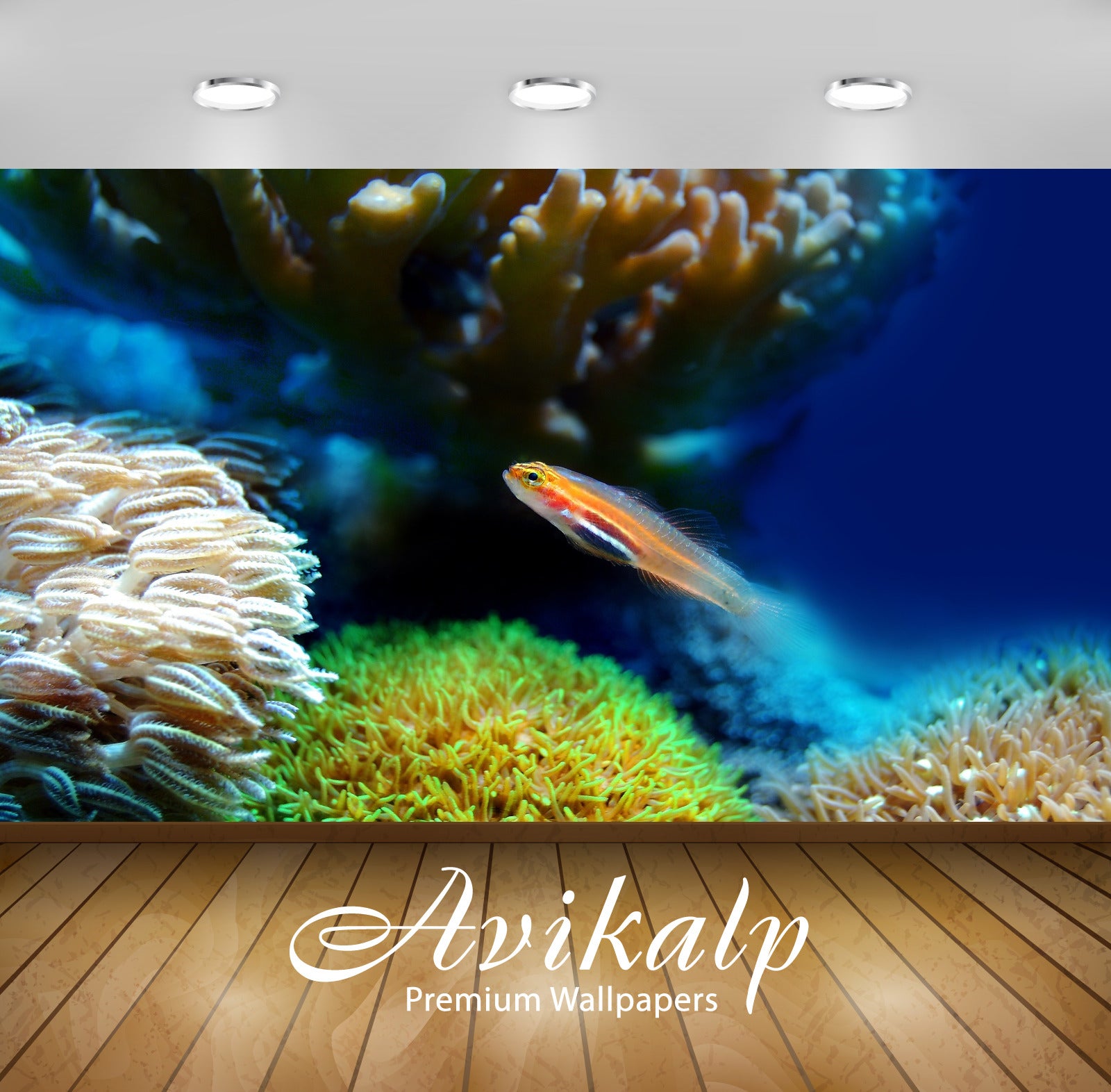 Avikalp Exclusive Fish AWI1128 HD Wallpapers for Living room, Hall, Kids Room, Kitchen, TV Backgroun Avikalp Exclusive Fish AWI1128 HD Wallpapers for Living room, Hall, Kids Room, Kitchen, TV Backgroun