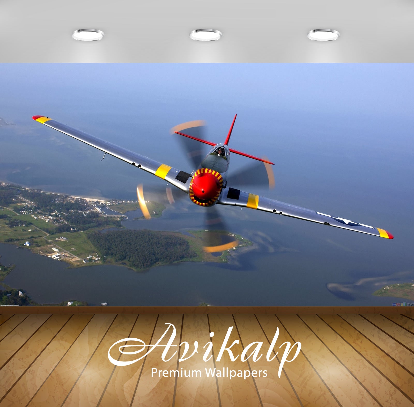 Avikalp Exclusive Fly High AWI1130 HD Wallpapers for Living room, Hall, Kids Room, Kitchen, TV Backg Avikalp Exclusive Fly High AWI1130 HD Wallpapers for Living room, Hall, Kids Room, Kitchen, TV Backg