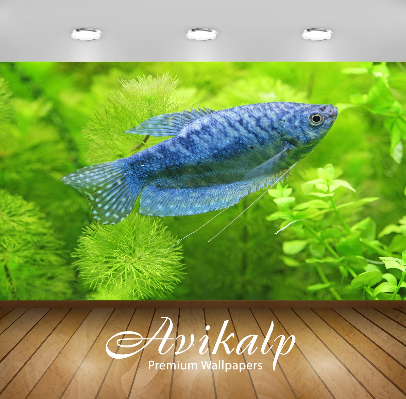 Avikalp Exclusive Hobby AWI1139 HD Wallpapers for Living room, Hall, Kids Room, Kitchen, TV Backgrou Avikalp Exclusive Hobby AWI1139 HD Wallpapers for Living room, Hall, Kids Room, Kitchen, TV Backgrou