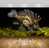 Avikalp Exclusive Lionfish AWI1152 HD Wallpapers for Living room, Hall, Kids Room, Kitchen, TV Backg Avikalp Exclusive Lionfish AWI1152 HD Wallpapers for Living room, Hall, Kids Room, Kitchen, TV Backg