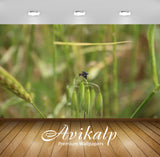 Avikalp Exclusive Premium flower HD Wallpapers for Living room, Hall, Kids Room, Kitchen, TV Backgro Avikalp Exclusive Premium flower HD Wallpapers for Living room, Hall, Kids Room, Kitchen, TV Backgro