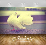 Avikalp Exclusive Pigeon AWI1176 HD Wallpapers for Living room, Hall, Kids Room, Kitchen, TV Backgro Avikalp Exclusive Pigeon AWI1176 HD Wallpapers for Living room, Hall, Kids Room, Kitchen, TV Backgro