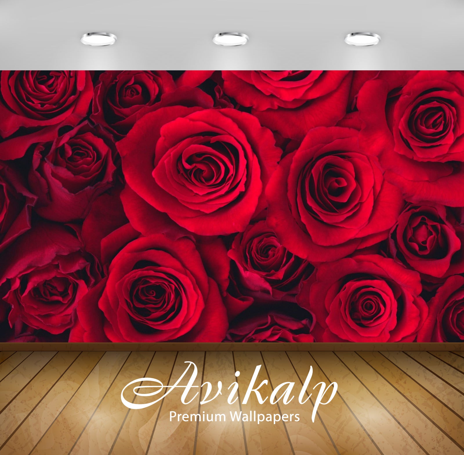 Avikalp Exclusive Red Roses AWI1181 HD Wallpapers for Living room, Hall, Kids Room, Kitchen, TV Back Avikalp Exclusive Red Roses AWI1181 HD Wallpapers for Living room, Hall, Kids Room, Kitchen, TV Back