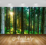 Avikalp Exclusive Premium forest HD Wallpapers for Living room, Hall, Kids Room, Kitchen, TV Backgro Avikalp Exclusive Premium forest HD Wallpapers for Living room, Hall, Kids Room, Kitchen, TV Backgro