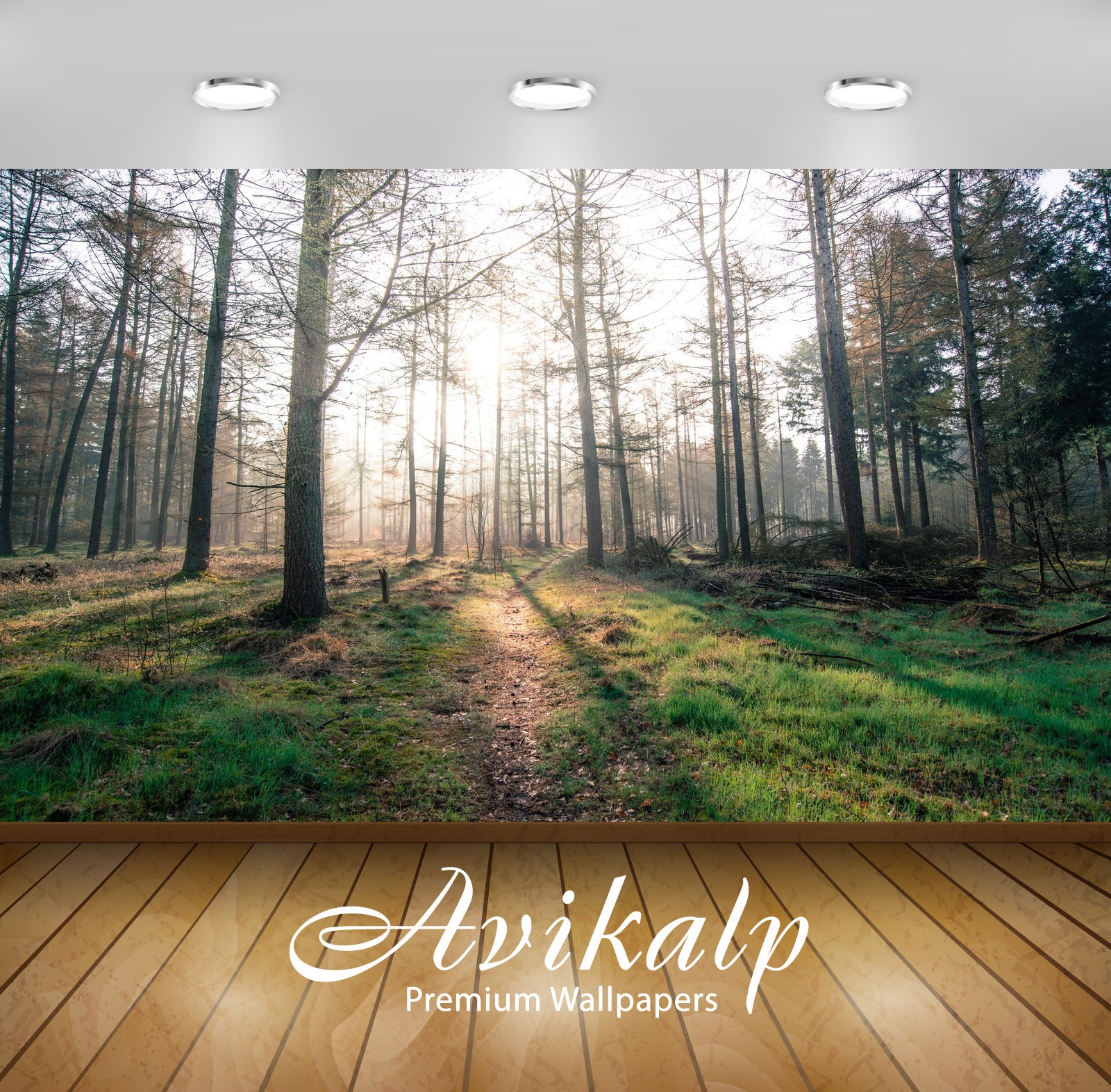 Avikalp Exclusive Premium forest HD Wallpapers for Living room, Hall, Kids Room, Kitchen, TV Backgro Avikalp Exclusive Premium forest HD Wallpapers for Living room, Hall, Kids Room, Kitchen, TV Backgro