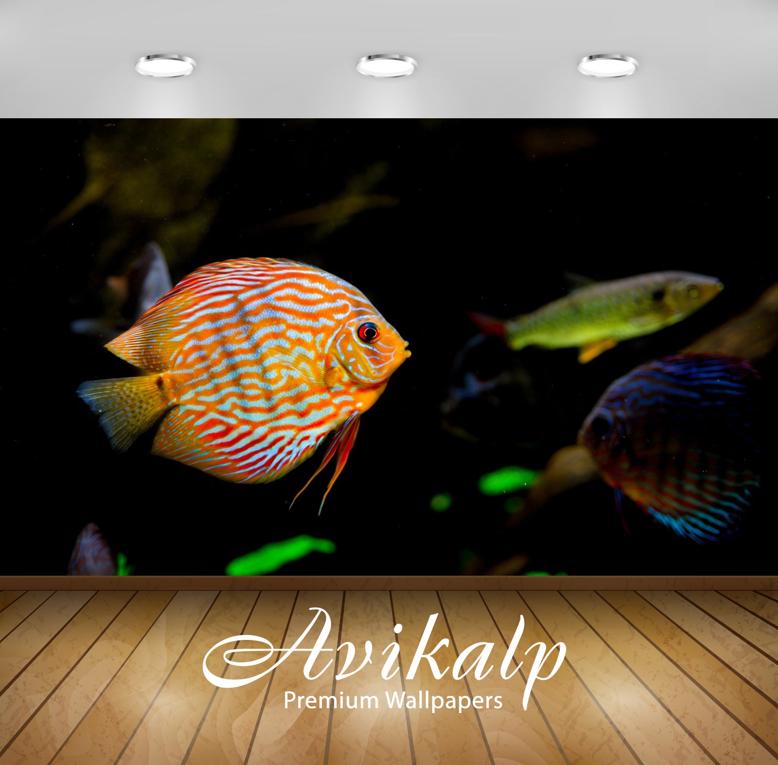 Avikalp Exclusive Tropical AWI1241 HD Wallpapers for Living room, Hall, Kids Room, Kitchen, TV Backg Avikalp Exclusive Tropical AWI1241 HD Wallpapers for Living room, Hall, Kids Room, Kitchen, TV Backg