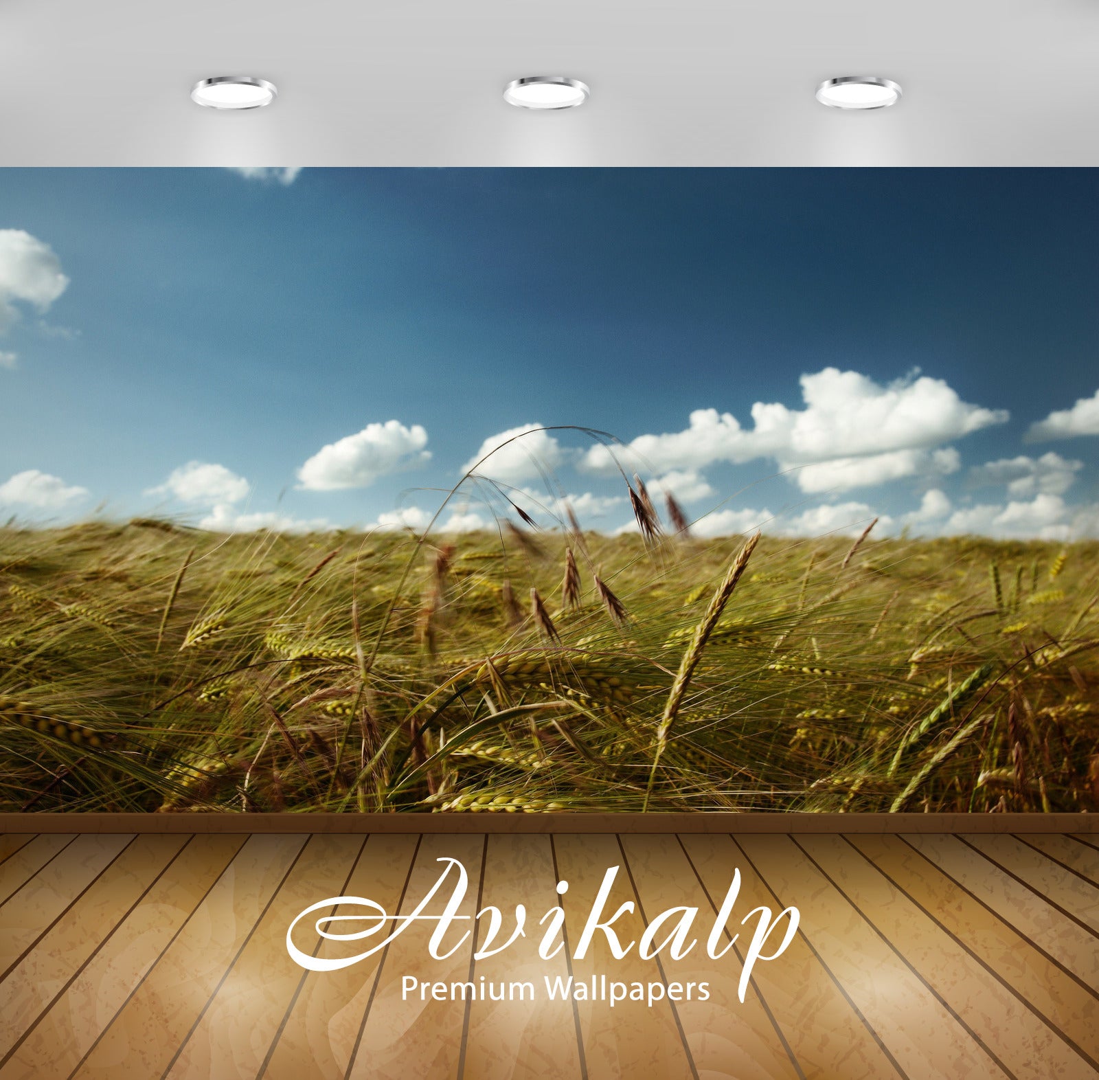 Avikalp Exclusive Wheat Crops Farms AWI1251 HD Wallpapers for Living room, Hall, Kids Room, Kitchen, Avikalp Exclusive Wheat Crops Farms AWI1251 HD Wallpapers for Living room, Hall, Kids Room, Kitchen,