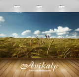 Avikalp Exclusive Wheat Crops Farms AWI1251 HD Wallpapers for Living room, Hall, Kids Room, Kitchen, Avikalp Exclusive Wheat Crops Farms AWI1251 HD Wallpapers for Living room, Hall, Kids Room, Kitchen,