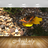 Avikalp Exclusive Premium beautiful HD Wallpapers for Living room, Hall, Kids Room, Kitchen, TV Back Avikalp Exclusive Premium beautiful HD Wallpapers for Living room, Hall, Kids Room, Kitchen, TV Back