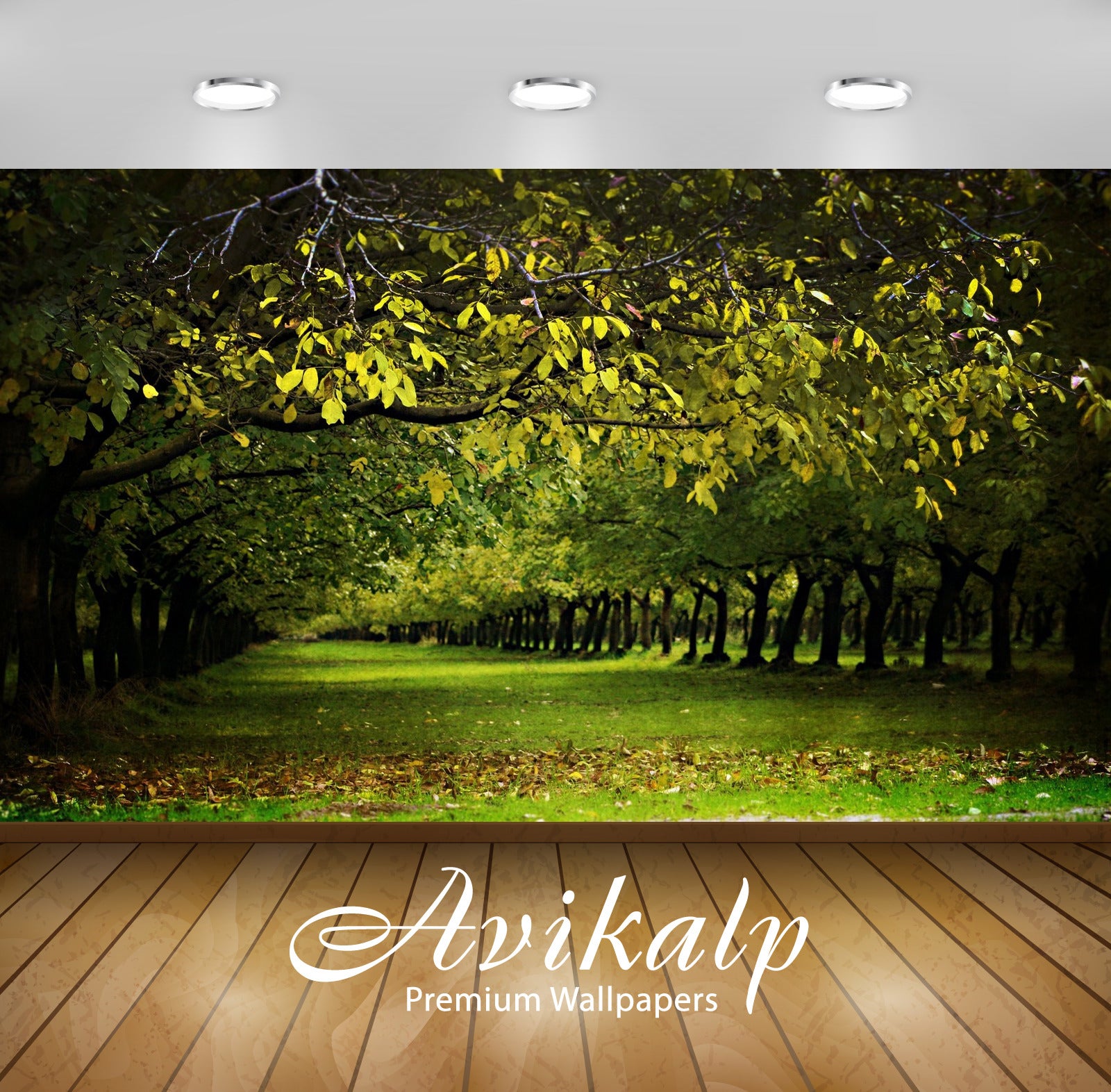 Avikalp Exclusive Awi1664 Nature Greenery Full HD Wallpapers for Living room, Hall, Kids Room, Kitch Avikalp Exclusive Awi1664 Nature Greenery Full HD Wallpapers for Living room, Hall, Kids Room, Kitch
