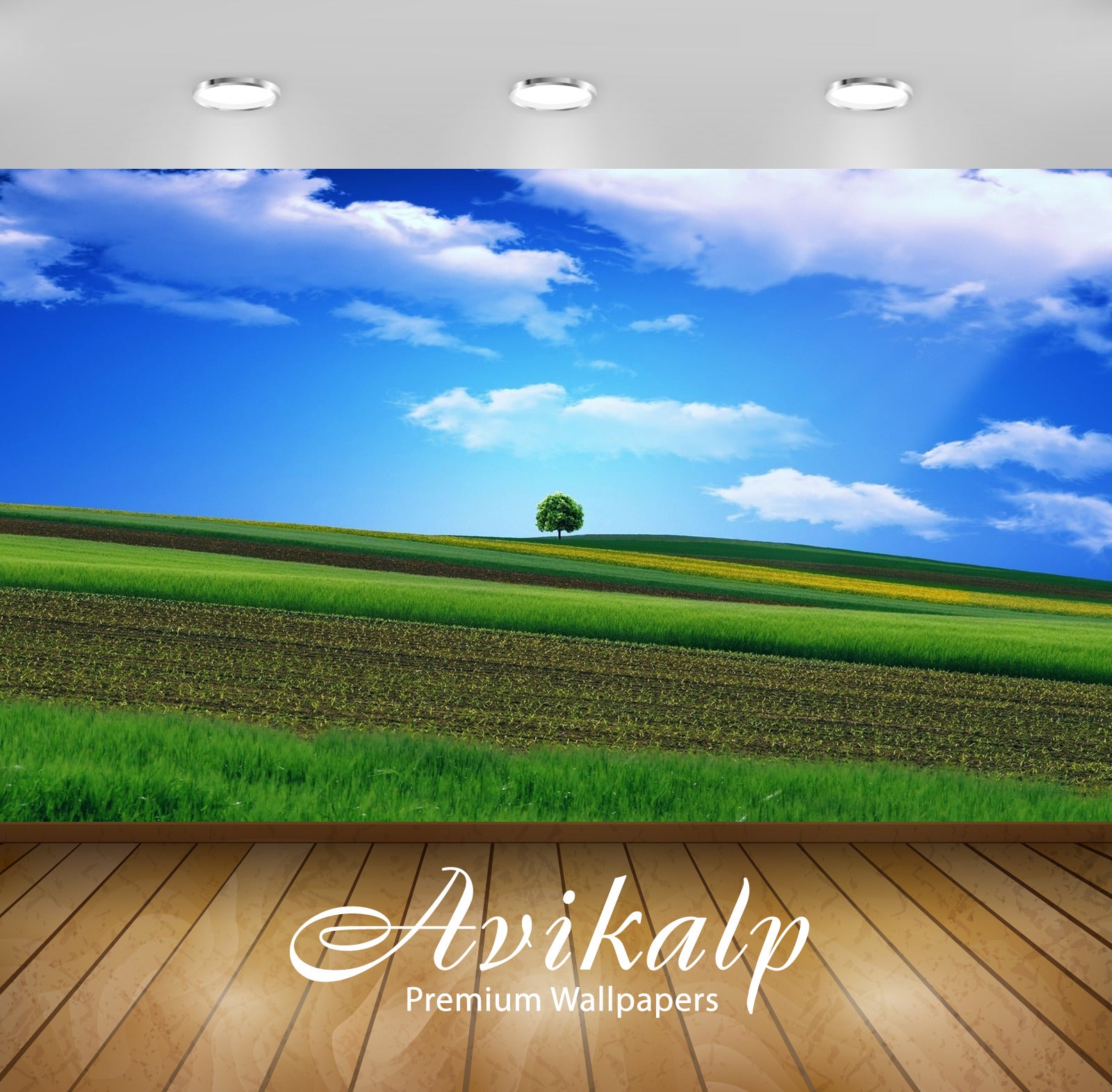 Avikalp Exclusive Awi1682 Beautiful Scenery Landscape Full HD Wallpapers for Living room, Hall, Kids Avikalp Exclusive Awi1682 Beautiful Scenery Landscape Full HD Wallpapers for Living room, Hall, Kids