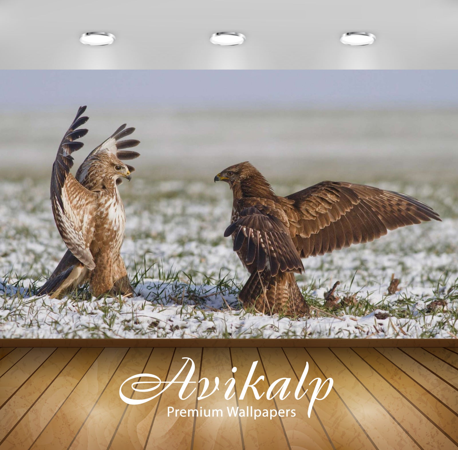 Avikalp Exclusive Awi1711 Birds Full HD Wallpapers for Living room, Hall, Kids Room, Kitchen, TV Bac Avikalp Exclusive Awi1711 Birds Full HD Wallpapers for Living room, Hall, Kids Room, Kitchen, TV Bac