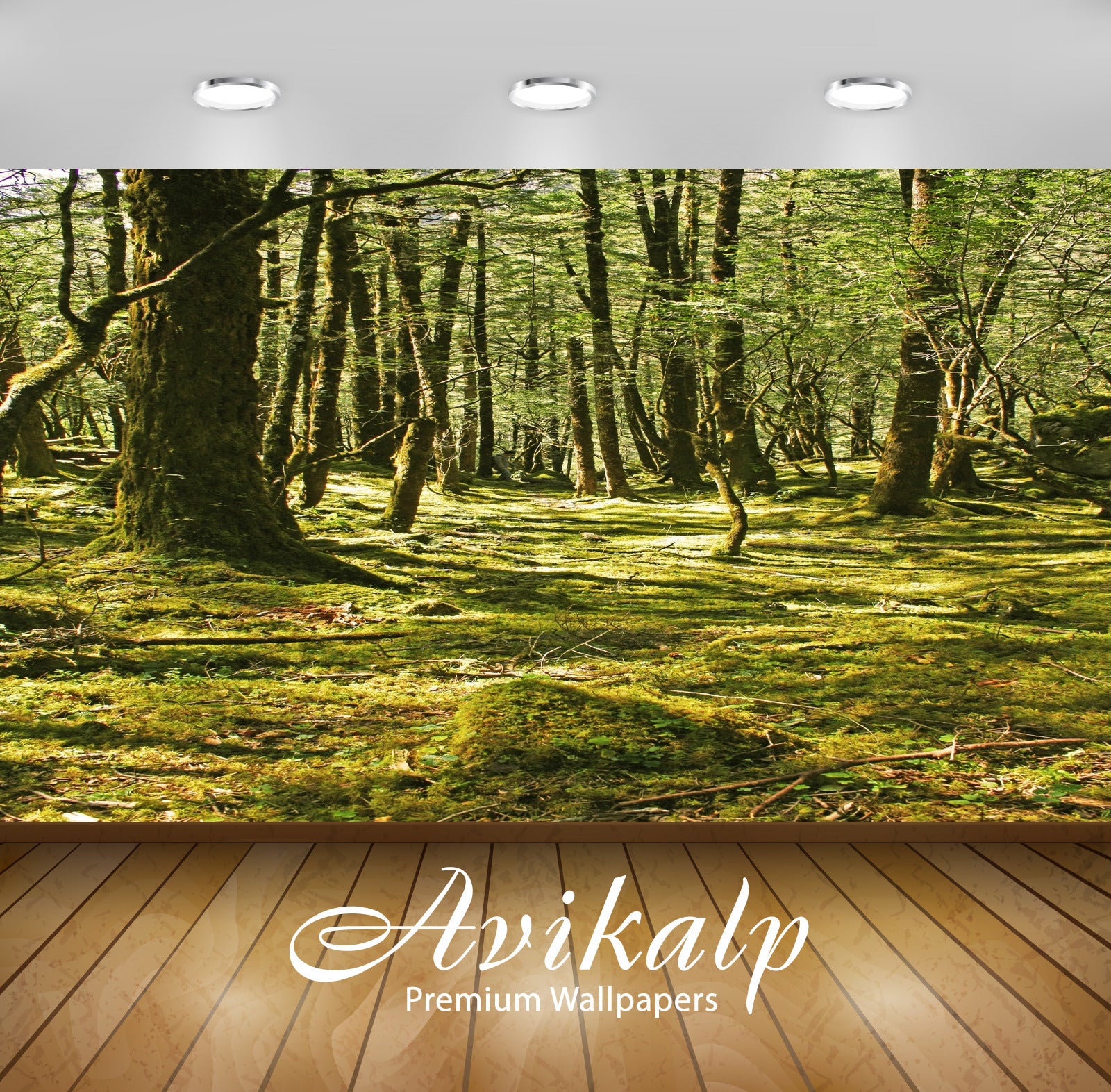 Avikalp Exclusive Premium lijiang HD Wallpapers for Living room, Hall, Kids Room, Kitchen, TV Backgr Avikalp Exclusive Premium lijiang HD Wallpapers for Living room, Hall, Kids Room, Kitchen, TV Backgr