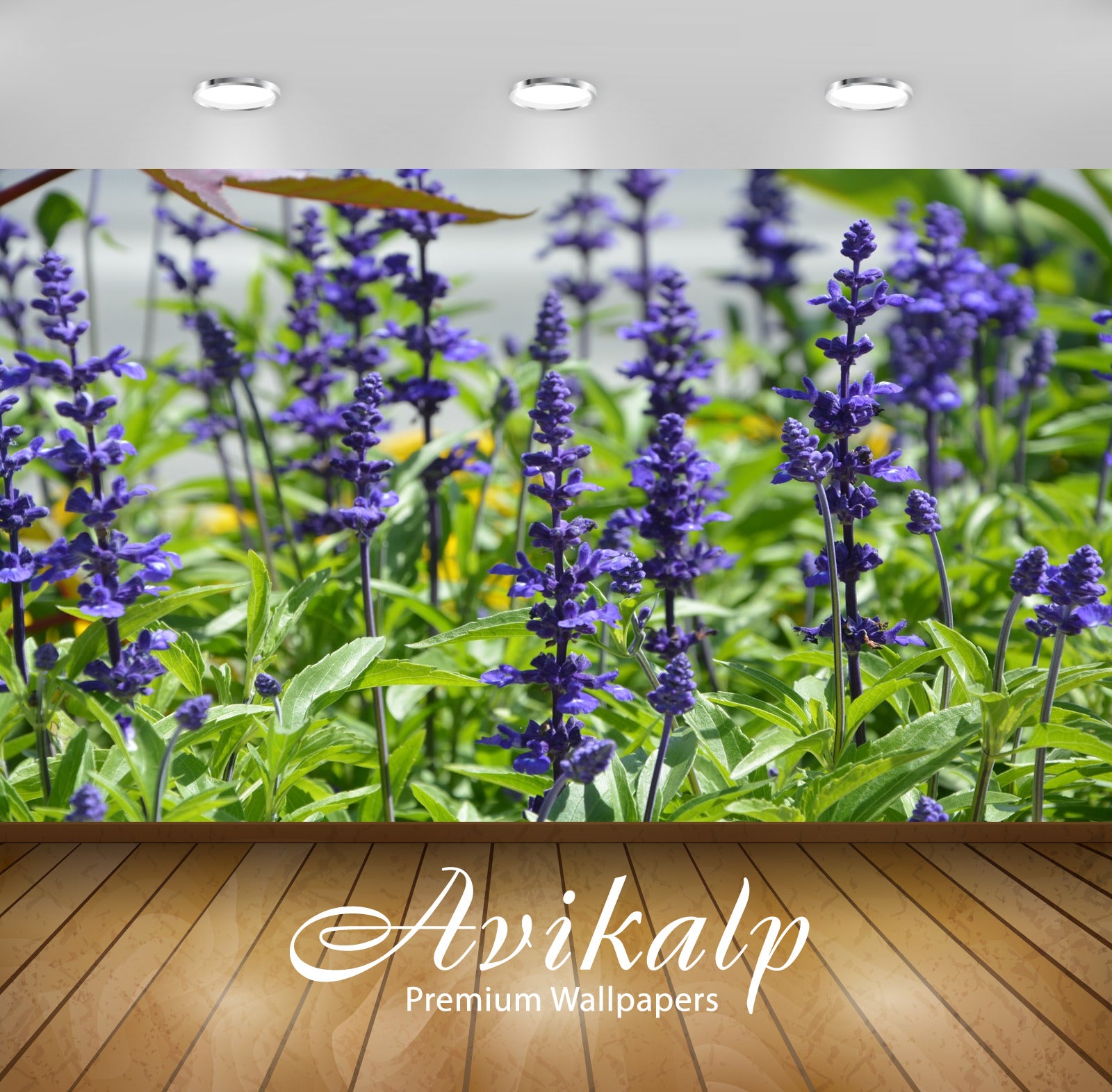 Avikalp Exclusive Premium blue HD Wallpapers for Living room, Hall, Kids Room, Kitchen, TV Backgroun Avikalp Exclusive Premium blue HD Wallpapers for Living room, Hall, Kids Room, Kitchen, TV Backgroun