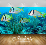 Avikalp Exclusive Awi2394 Atlantic Porkfish Anisotremus Virginicus Full HD Wallpapers for Living roo Avikalp Exclusive Awi2394 Atlantic Porkfish Anisotremus Virginicus Full HD Wallpapers for Living roo