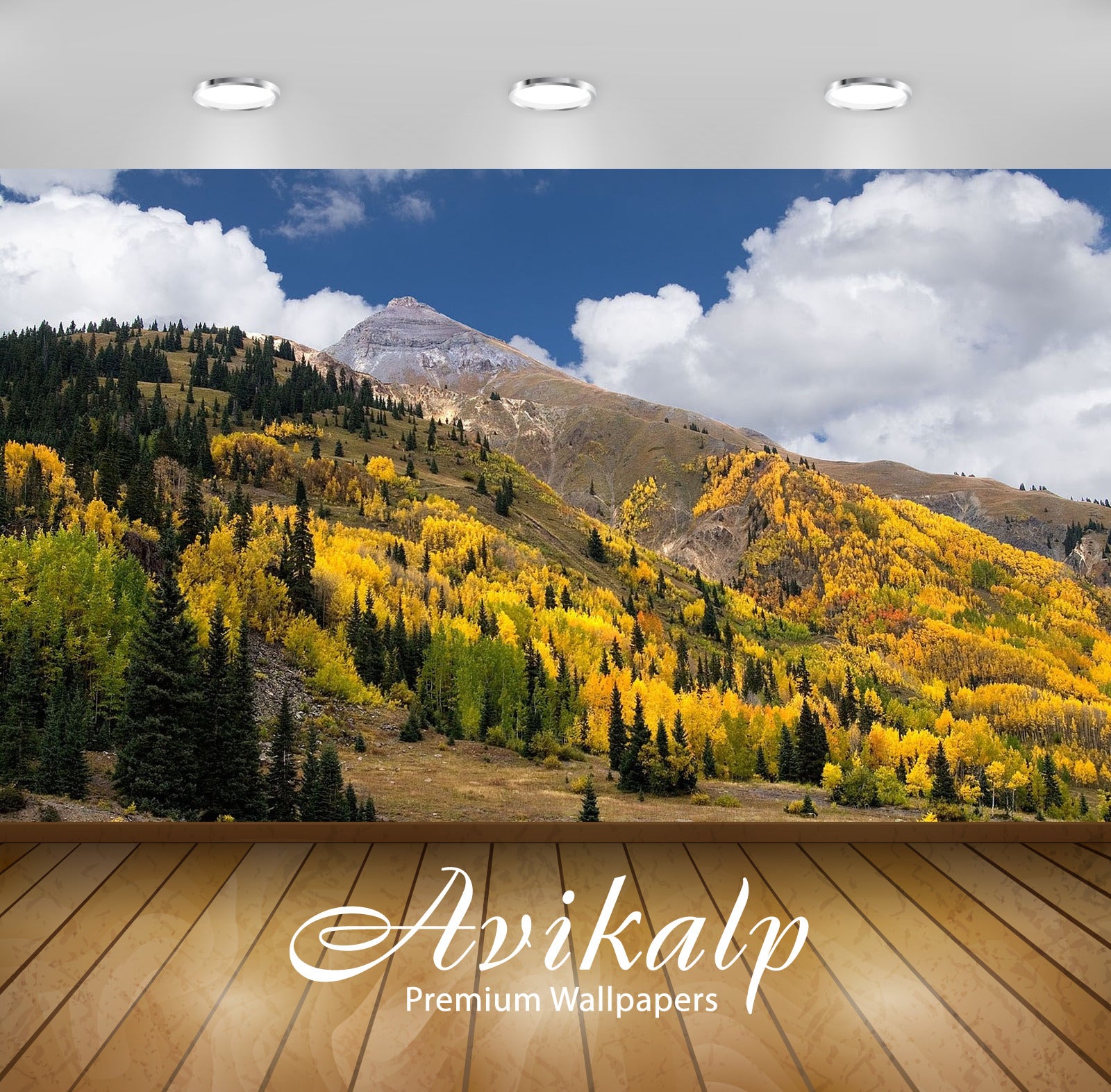 Avikalp Exclusive Awi2396 Autumn Colors In The Mountains Of San Juan Colorado Full HD Wallpapers for Avikalp Exclusive Awi2396 Autumn Colors In The Mountains Of San Juan Colorado Full HD Wallpapers for