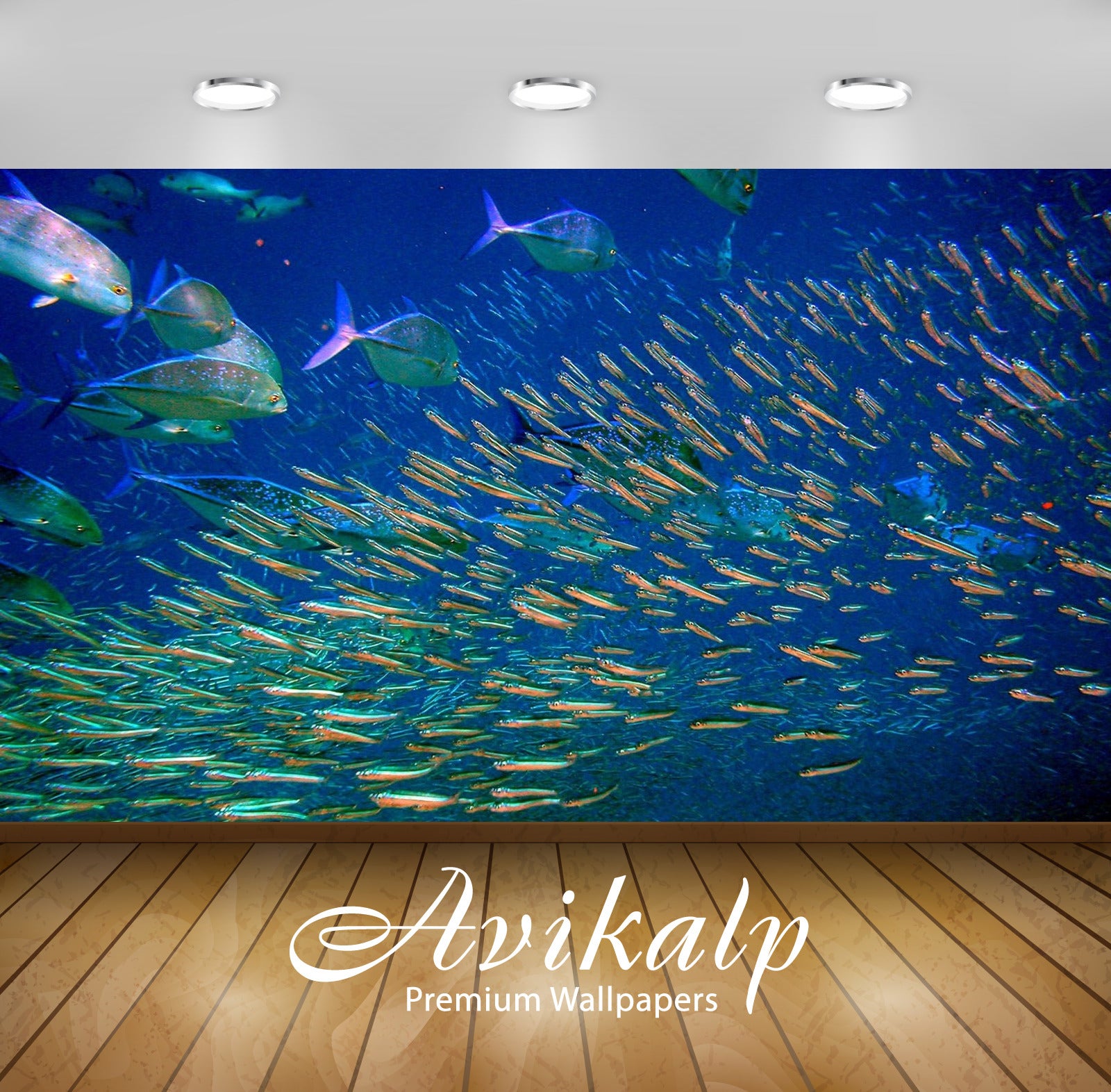 Avikalp Exclusive Awi2406 Background Ocean Fish Underwater World Full HD Wallpapers for Living room, Avikalp Exclusive Awi2406 Background Ocean Fish Underwater World Full HD Wallpapers for Living room,