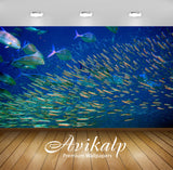 Avikalp Exclusive Awi2406 Background Ocean Fish Underwater World Full HD Wallpapers for Living room, Avikalp Exclusive Awi2406 Background Ocean Fish Underwater World Full HD Wallpapers for Living room,