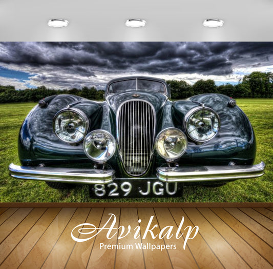 Avikalp Exclusive Awi2447 Black Jaguar Full HD Wallpapers for Living room, Hall, Kids Room, Kitchen,