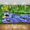 Avikalp Exclusive Awi2505 Clear Mountain River Ravine Rocks Rocks Coast With Green Grass And Canadia