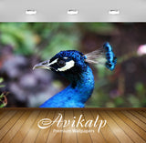 Avikalp Exclusive Premium peacock HD Wallpapers for Living room, Hall, Kids Room, Kitchen, TV Backgr Avikalp Exclusive Premium peacock HD Wallpapers for Living room, Hall, Kids Room, Kitchen, TV Backgr