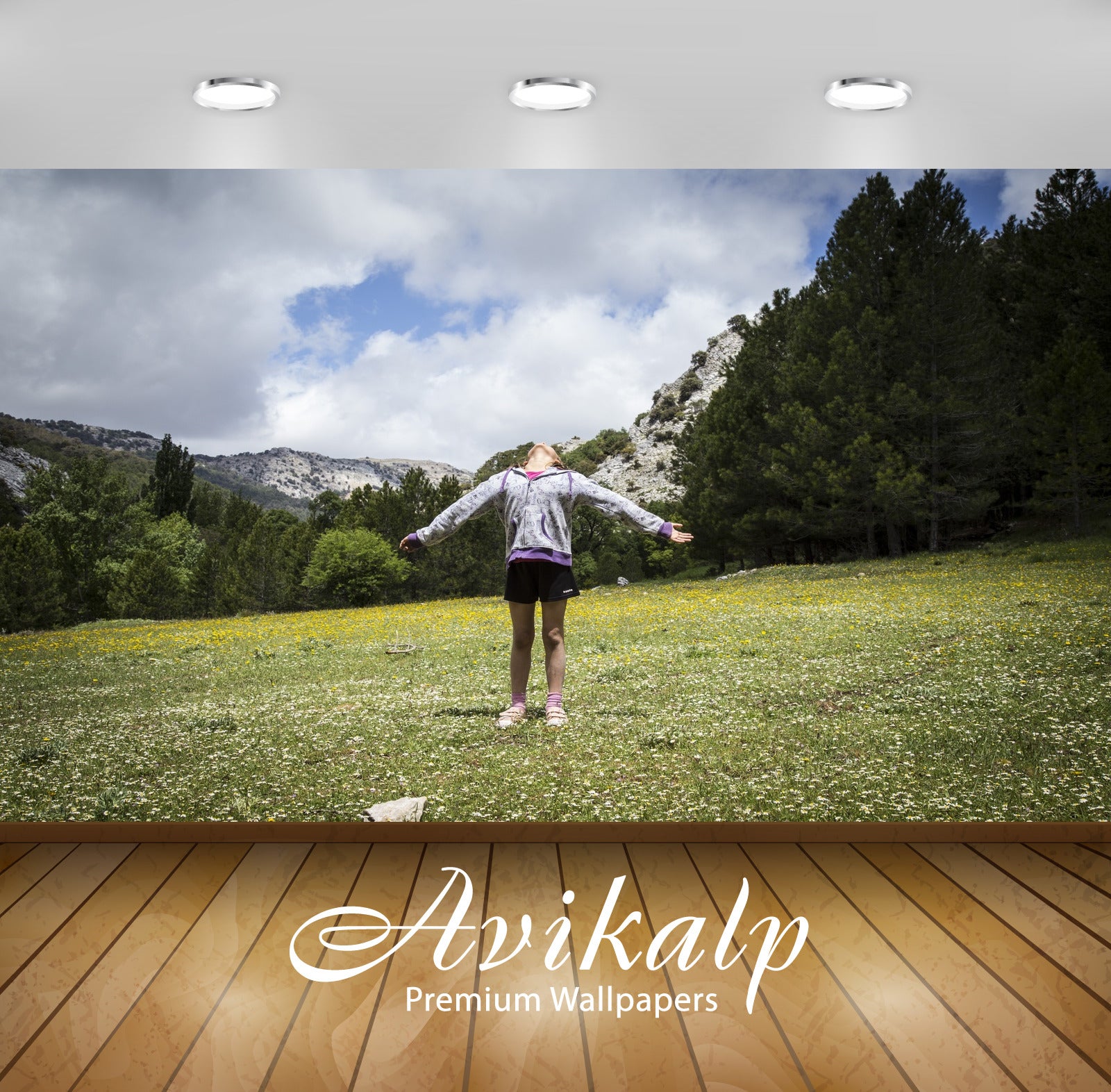 Avikalp Exclusive Premium prado HD Wallpapers for Living room, Hall, Kids Room, Kitchen, TV Backgrou Avikalp Exclusive Premium prado HD Wallpapers for Living room, Hall, Kids Room, Kitchen, TV Backgrou