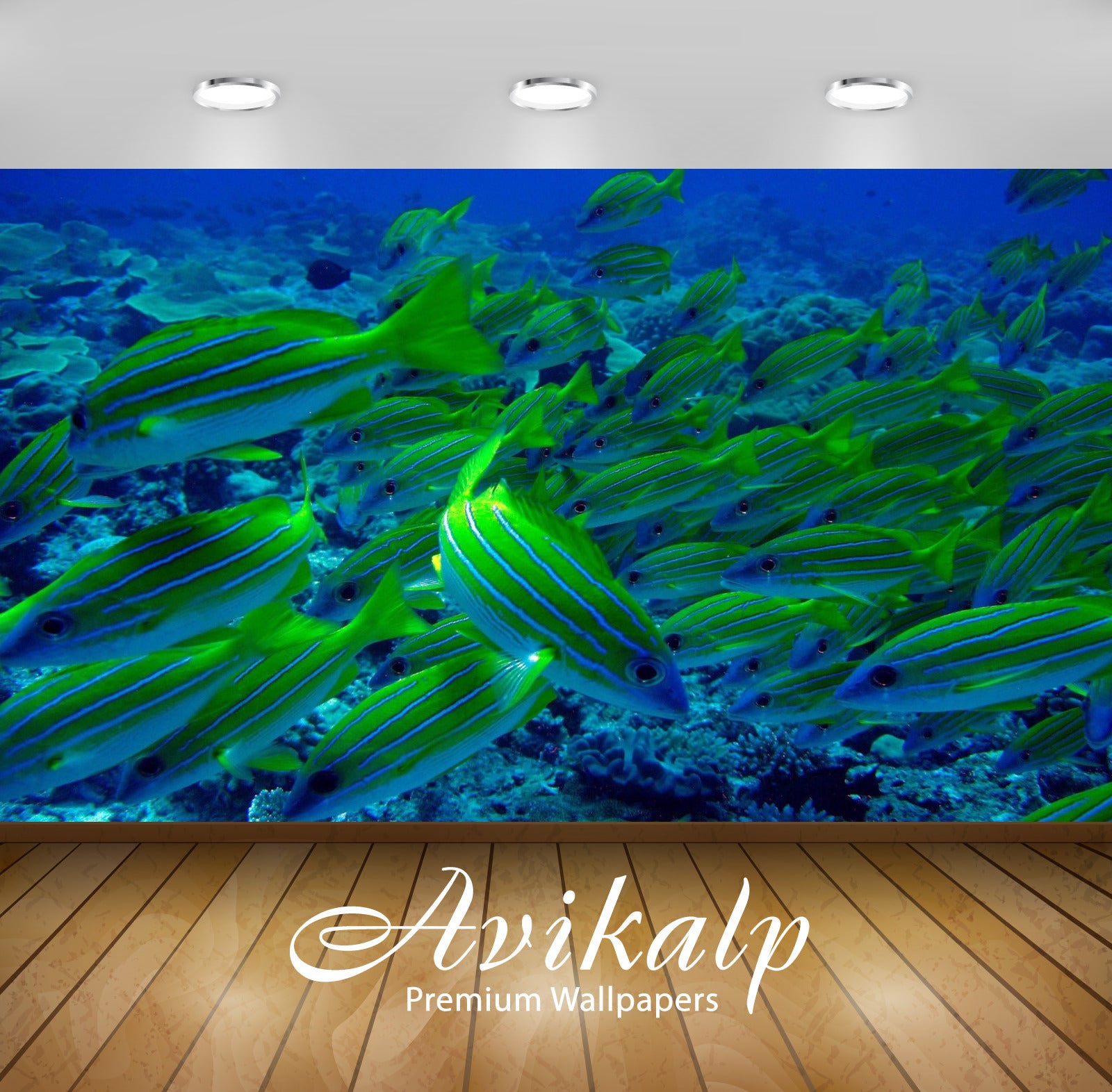 Avikalp Exclusive Awi2811 Lutjanus Quinquelineatus Yellow Fish Full HD Wallpapers for Living room, H Avikalp Exclusive Awi2811 Lutjanus Quinquelineatus Yellow Fish Full HD Wallpapers for Living room, H
