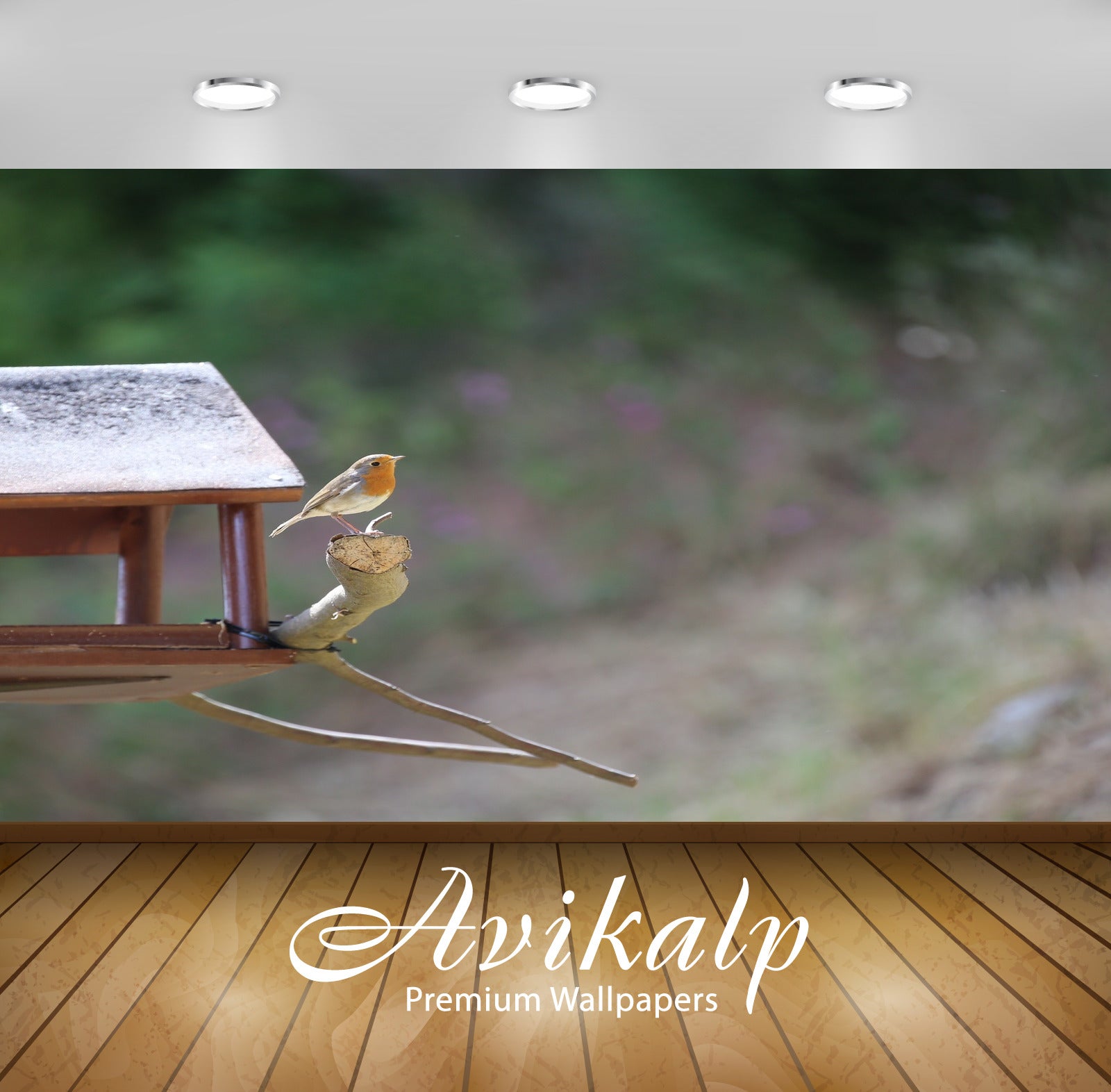 Avikalp Exclusive Premium robin HD Wallpapers for Living room, Hall, Kids Room, Kitchen, TV Backgrou Avikalp Exclusive Premium robin HD Wallpapers for Living room, Hall, Kids Room, Kitchen, TV Backgrou