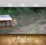 Avikalp Exclusive Premium robin HD Wallpapers for Living room, Hall, Kids Room, Kitchen, TV Backgrou Avikalp Exclusive Premium robin HD Wallpapers for Living room, Hall, Kids Room, Kitchen, TV Backgrou