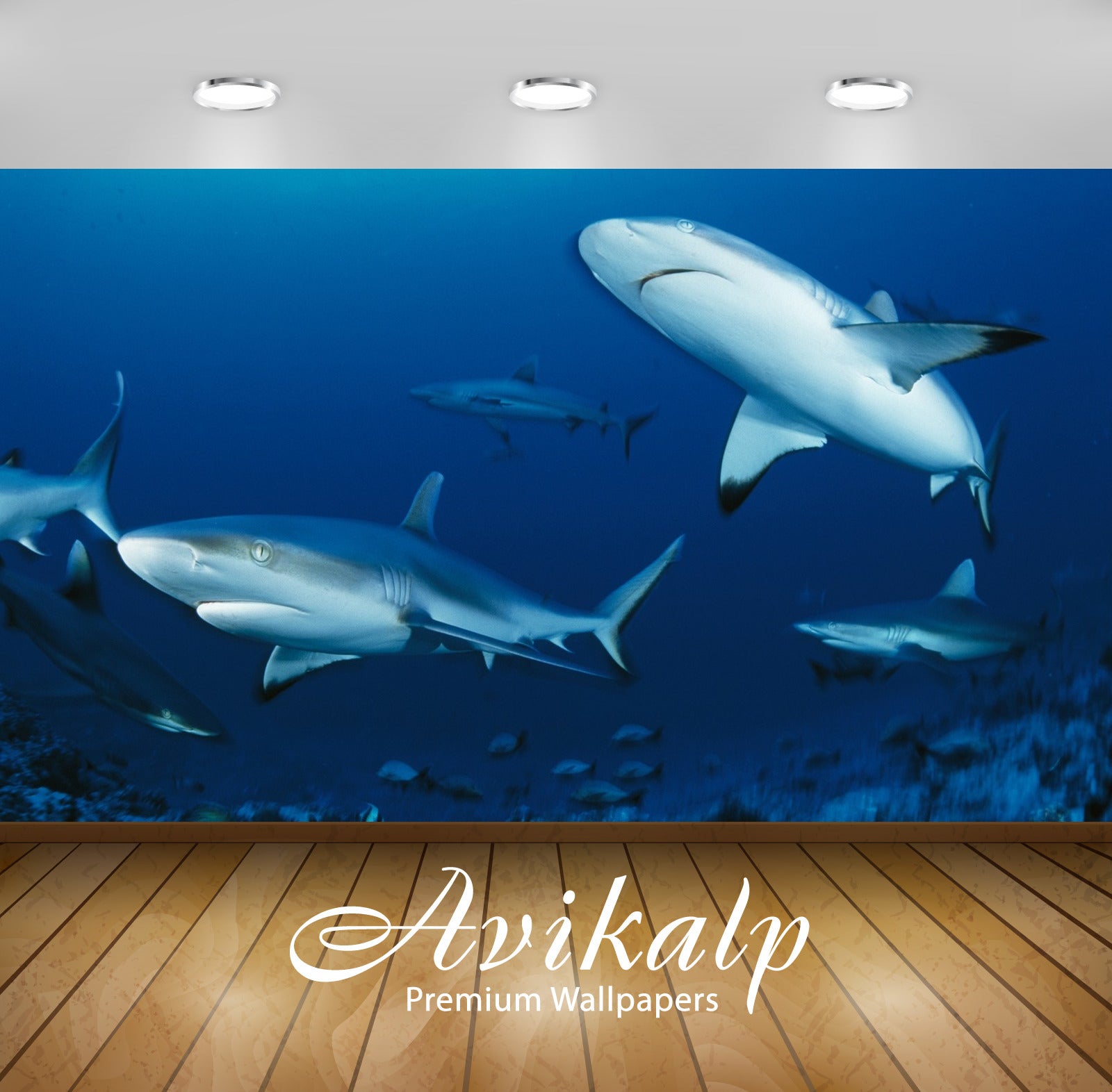 Avikalp Exclusive Awi2880 Ocean Seabed Shark Fish Full HD Wallpapers for Living room, Hall, Kids Roo Avikalp Exclusive Awi2880 Ocean Seabed Shark Fish Full HD Wallpapers for Living room, Hall, Kids Roo
