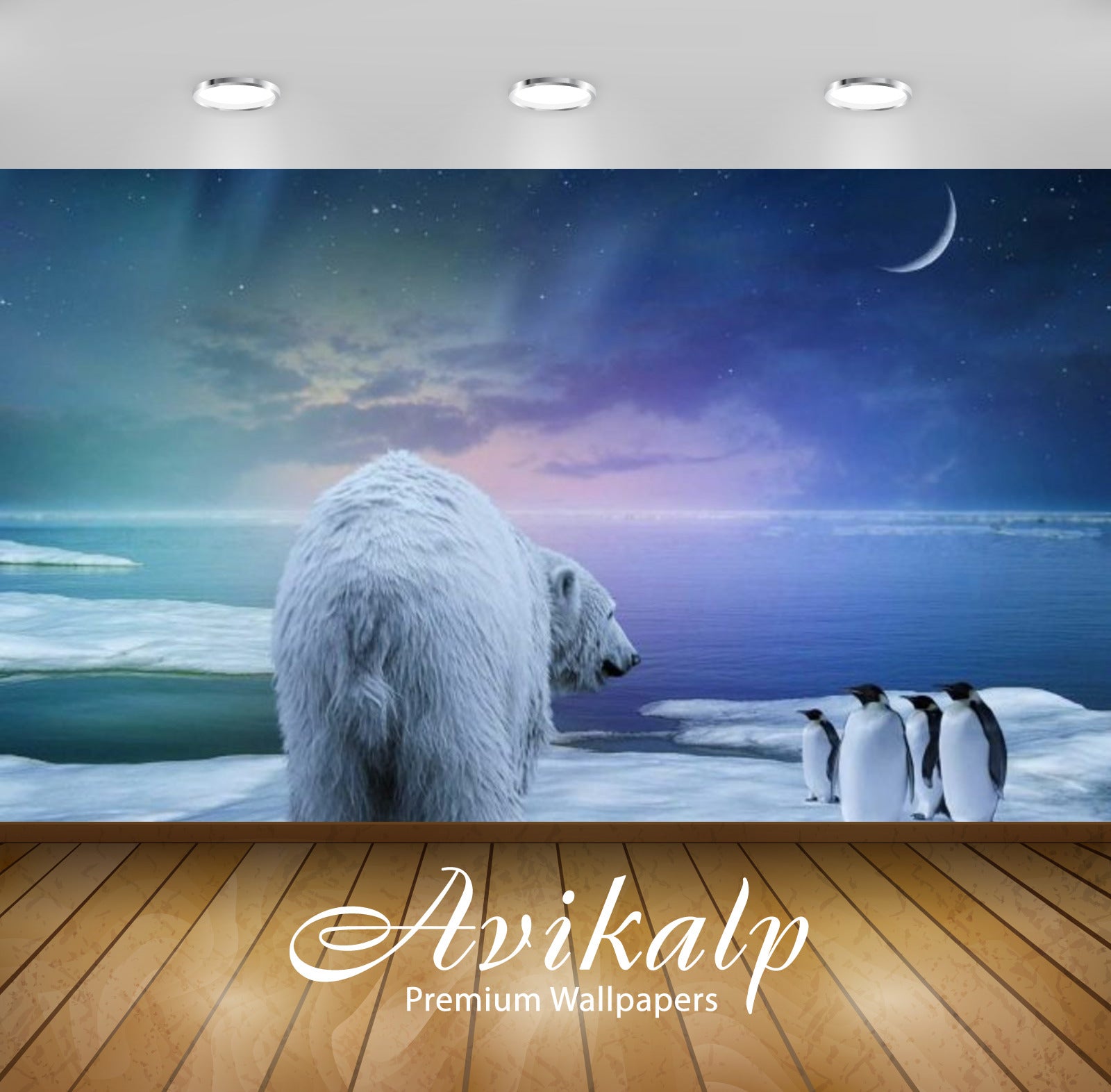 Avikalp Exclusive Awi2914 Polar Bear In The Company Of A Starry Sky Penguins New Moon Full HD Wallpa Avikalp Exclusive Awi2914 Polar Bear In The Company Of A Starry Sky Penguins New Moon Full HD Wallpa