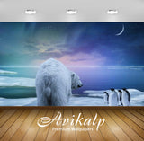 Avikalp Exclusive Awi2914 Polar Bear In The Company Of A Starry Sky Penguins New Moon Full HD Wallpa Avikalp Exclusive Awi2914 Polar Bear In The Company Of A Starry Sky Penguins New Moon Full HD Wallpa