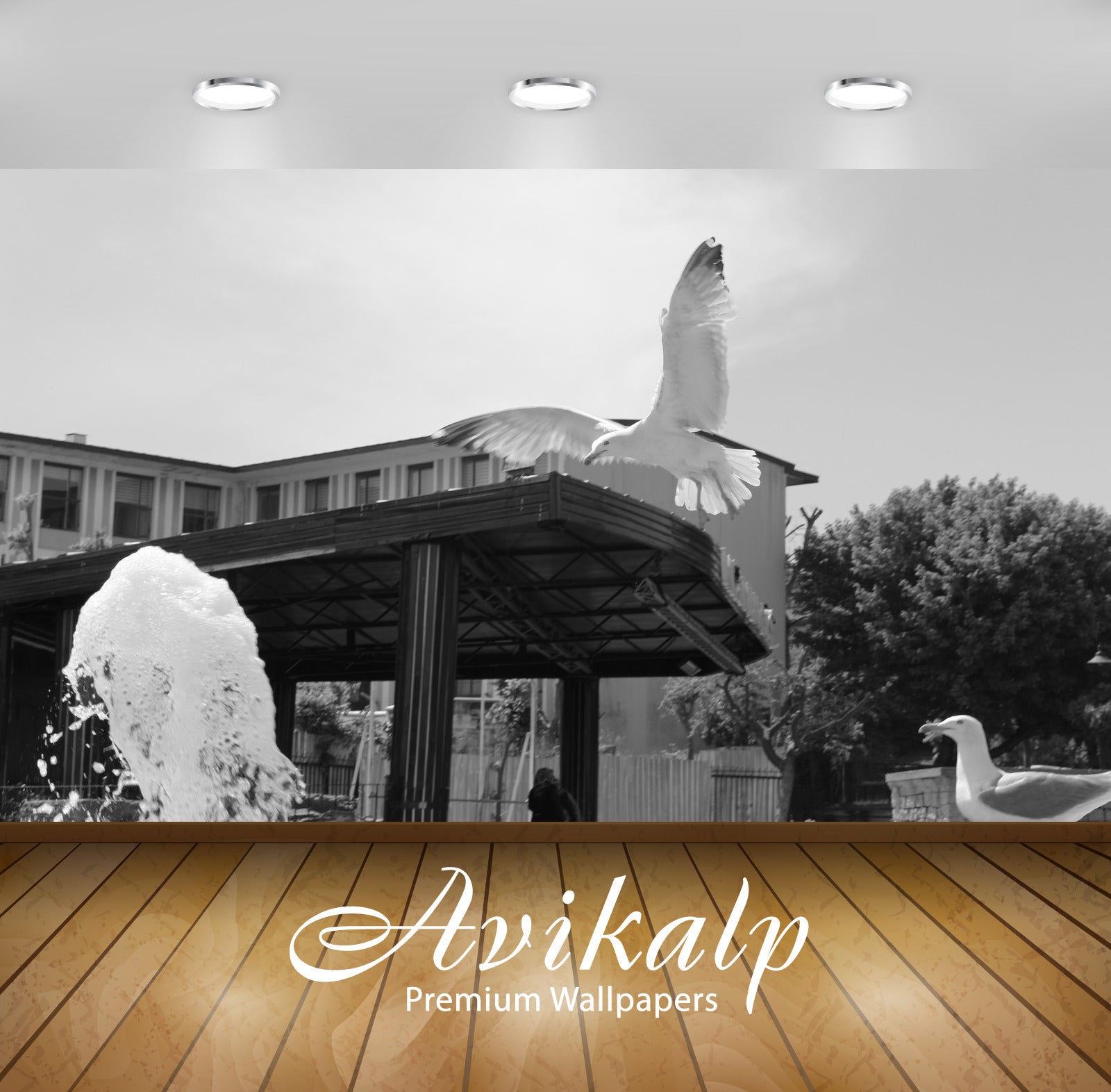 Avikalp Exclusive Premium scully HD Wallpapers for Living room, Hall, Kids Room, Kitchen, TV Backgro Avikalp Exclusive Premium scully HD Wallpapers for Living room, Hall, Kids Room, Kitchen, TV Backgro