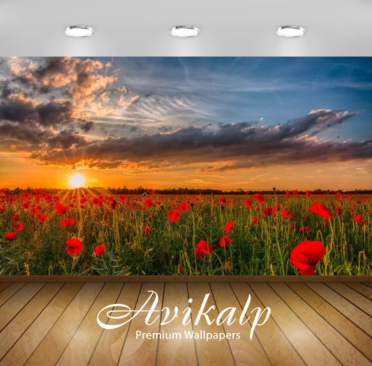 Avikalp Exclusive Awi3091 Sunset Landscape Field With Red Poppies Sky With Clouds Nature Full HD Wal