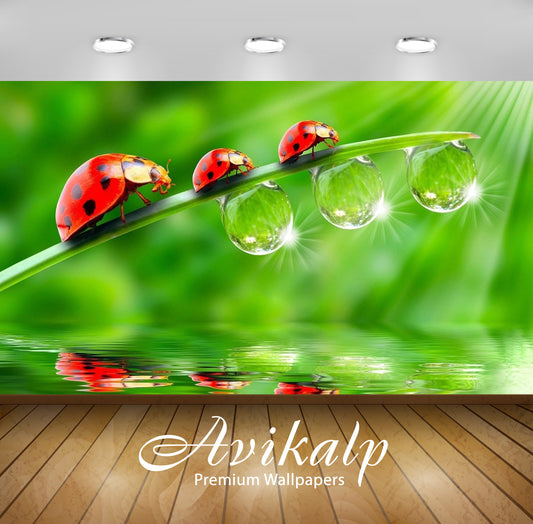 Avikalp Exclusive Awi3149 Three Red Ladybug Grass Rain Drops Of Water Sunlight Reflecting Water Gree