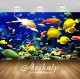 Avikalp Exclusive Awi3159 Tropical Fish Underwater World Sea Ocean Full HD Wallpapers for Living roo Avikalp Exclusive Awi3159 Tropical Fish Underwater World Sea Ocean Full HD Wallpapers for Living roo