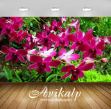 Avikalp Exclusive Awi3163 Tropical Red Orchid In The Rain Forest Summer Flowers Full HD Wallpapers f Avikalp Exclusive Awi3163 Tropical Red Orchid In The Rain Forest Summer Flowers Full HD Wallpapers f