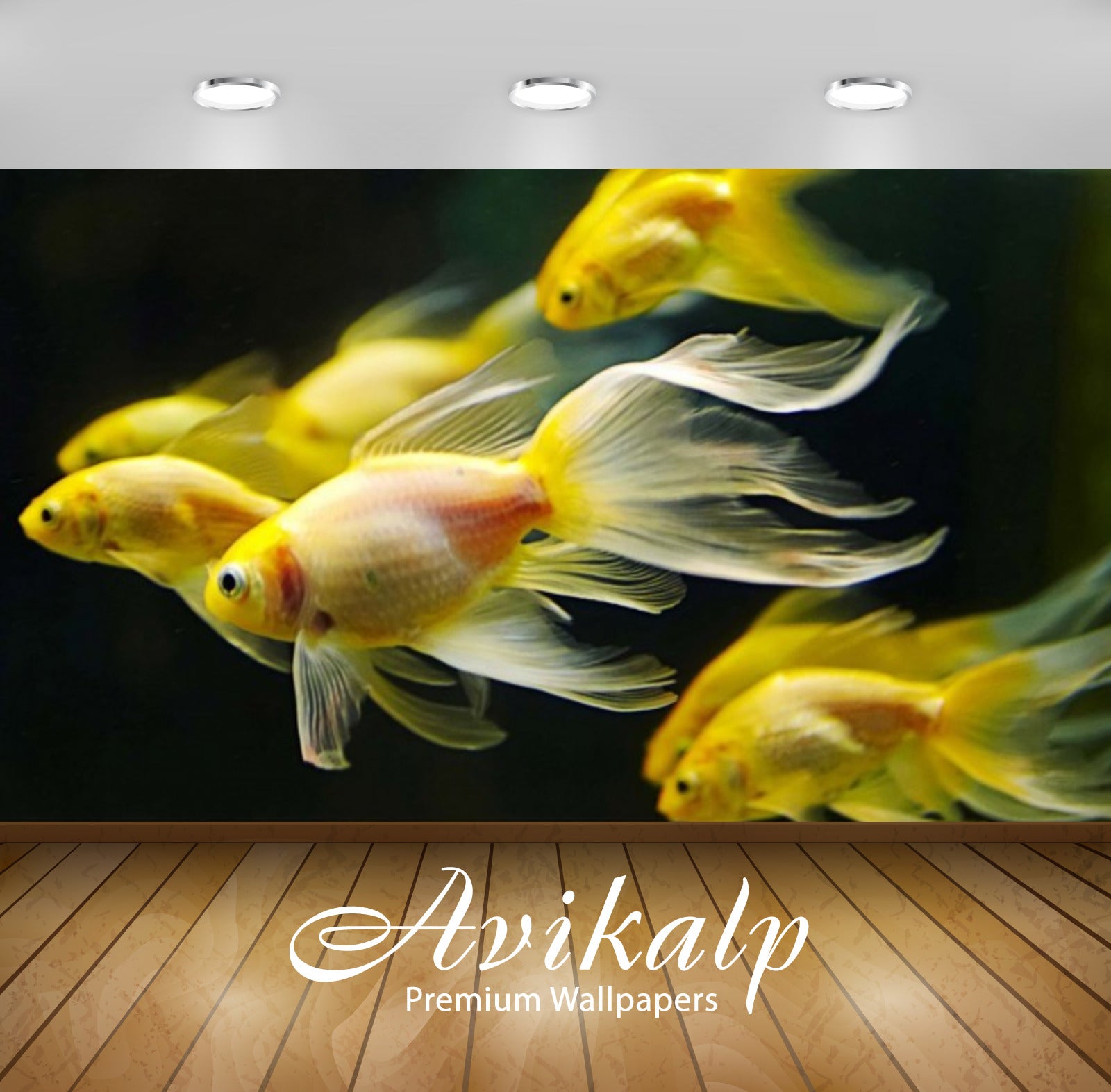 Avikalp Exclusive Awi3173 Underwater Fish Fishes Goldfish Full HD Wallpapers for Living room, Hall, Avikalp Exclusive Awi3173 Underwater Fish Fishes Goldfish Full HD Wallpapers for Living room, Hall,