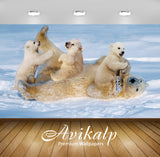 Avikalp Exclusive Awi3209 White Polar Bear With Cubs Small Cinch Staining The Snow Full HD Wallpaper Avikalp Exclusive Awi3209 White Polar Bear With Cubs Small Cinch Staining The Snow Full HD Wallpaper