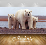 Avikalp Exclusive Awi3210 White Polar Bear With Two Young Bears Grown Full HD Wallpapers for Living Avikalp Exclusive Awi3210 White Polar Bear With Two Young Bears Grown Full HD Wallpapers for Living