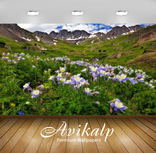 Avikalp Exclusive Awi3222 Wild Flower In San Juan American Basin Columbine Usa Landscape Nature Full