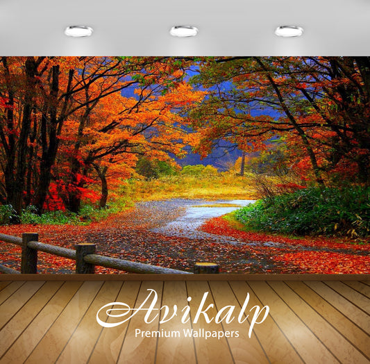 Avikalp Exclusive Awi3274 Beautiful Road Falling Leaves Autumn Colorful Trees Nature Scenery Full HD