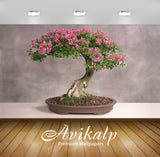 Avikalp Exclusive Awi3277 Bonsai Tree Lucky To Keep Full HD Wallpapers for Living room, Hall, Kids R Avikalp Exclusive Awi3277 Bonsai Tree Lucky To Keep Full HD Wallpapers for Living room, Hall, Kids R