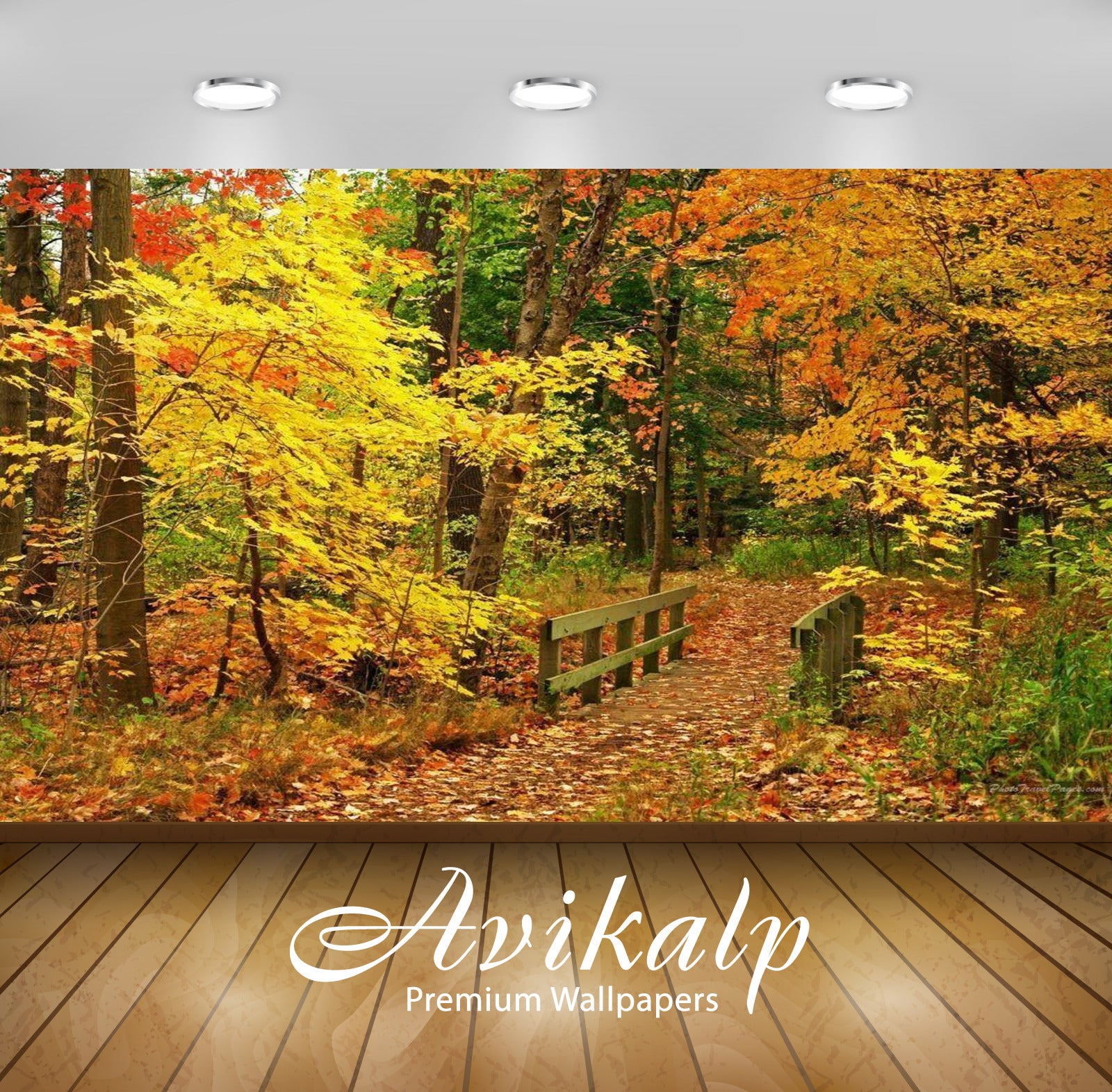 Avikalp Exclusive Awi3281 Beautiful Nature Autumn Colorful Trees Scenery Full HD Wallpapers for Livi Avikalp Exclusive Awi3281 Beautiful Nature Autumn Colorful Trees Scenery Full HD Wallpapers for Livi