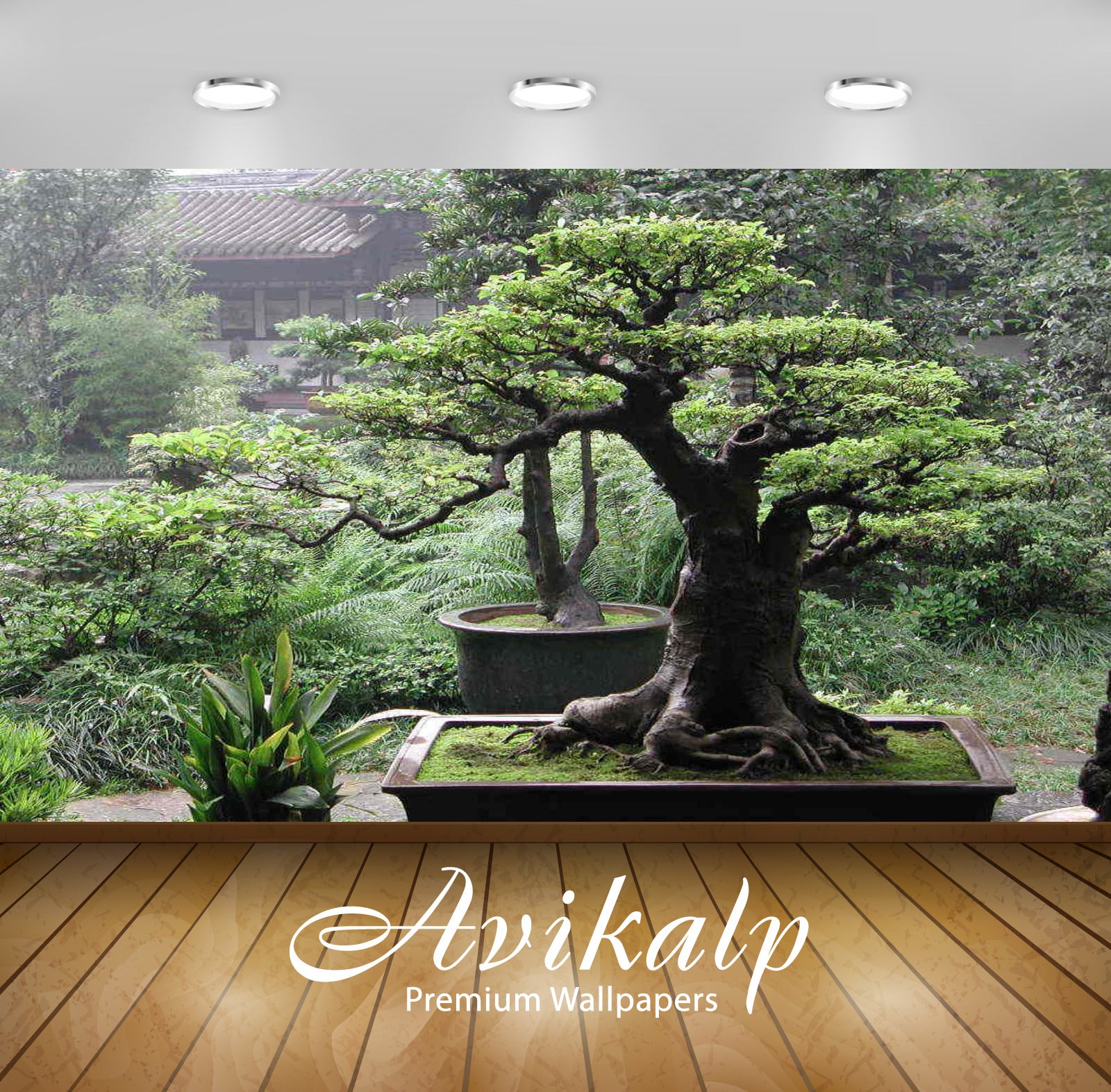 Avikalp Exclusive Awi3288 Bonsai Tree Nature Full HD Wallpapers