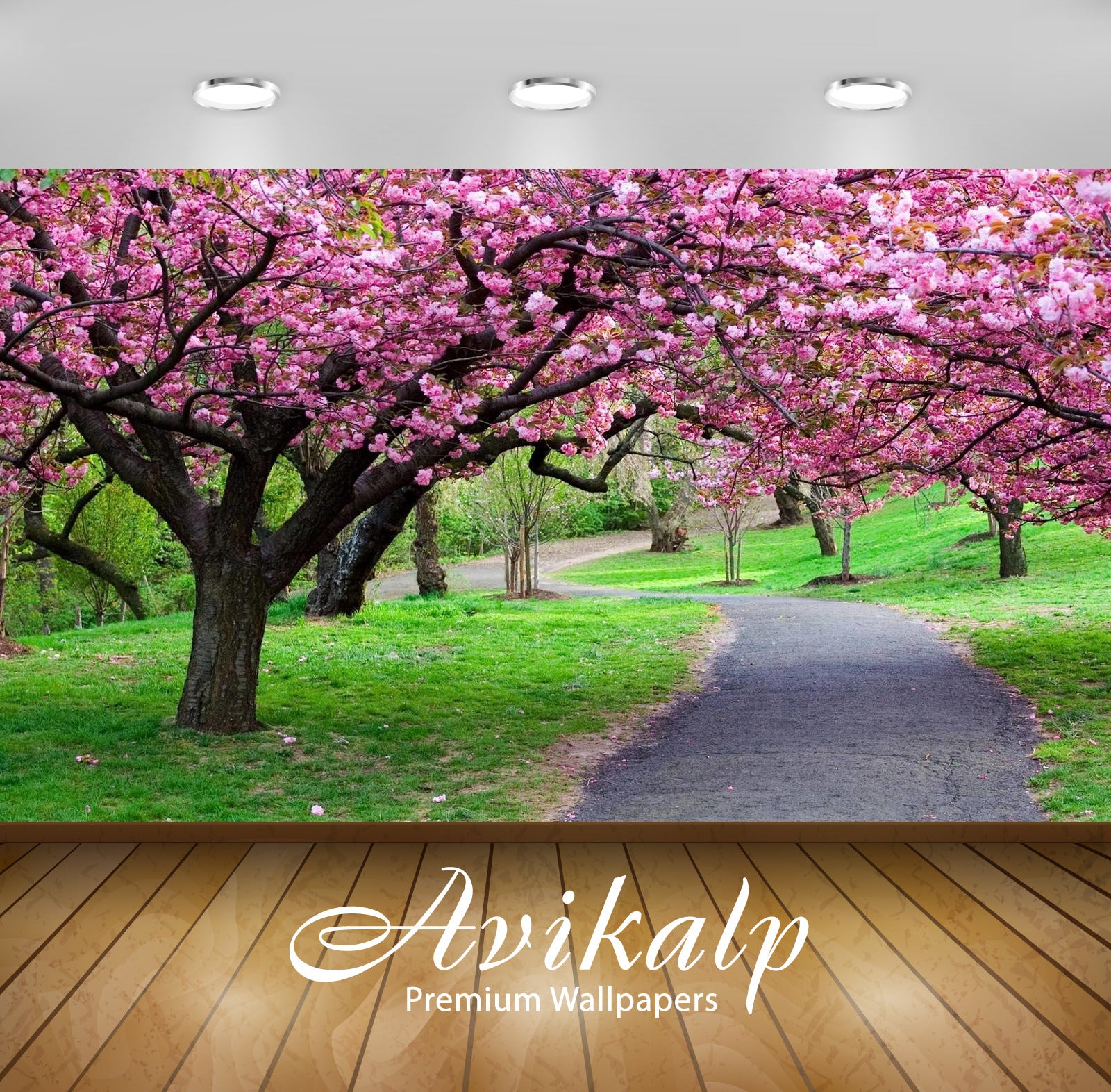 Avikalp Exclusive Awi3370 Pink Flowers Trees Beautiful Scenery Full HD Wallpapers for Living room, H Avikalp Exclusive Awi3370 Pink Flowers Trees Beautiful Scenery Full HD Wallpapers for Living room, H